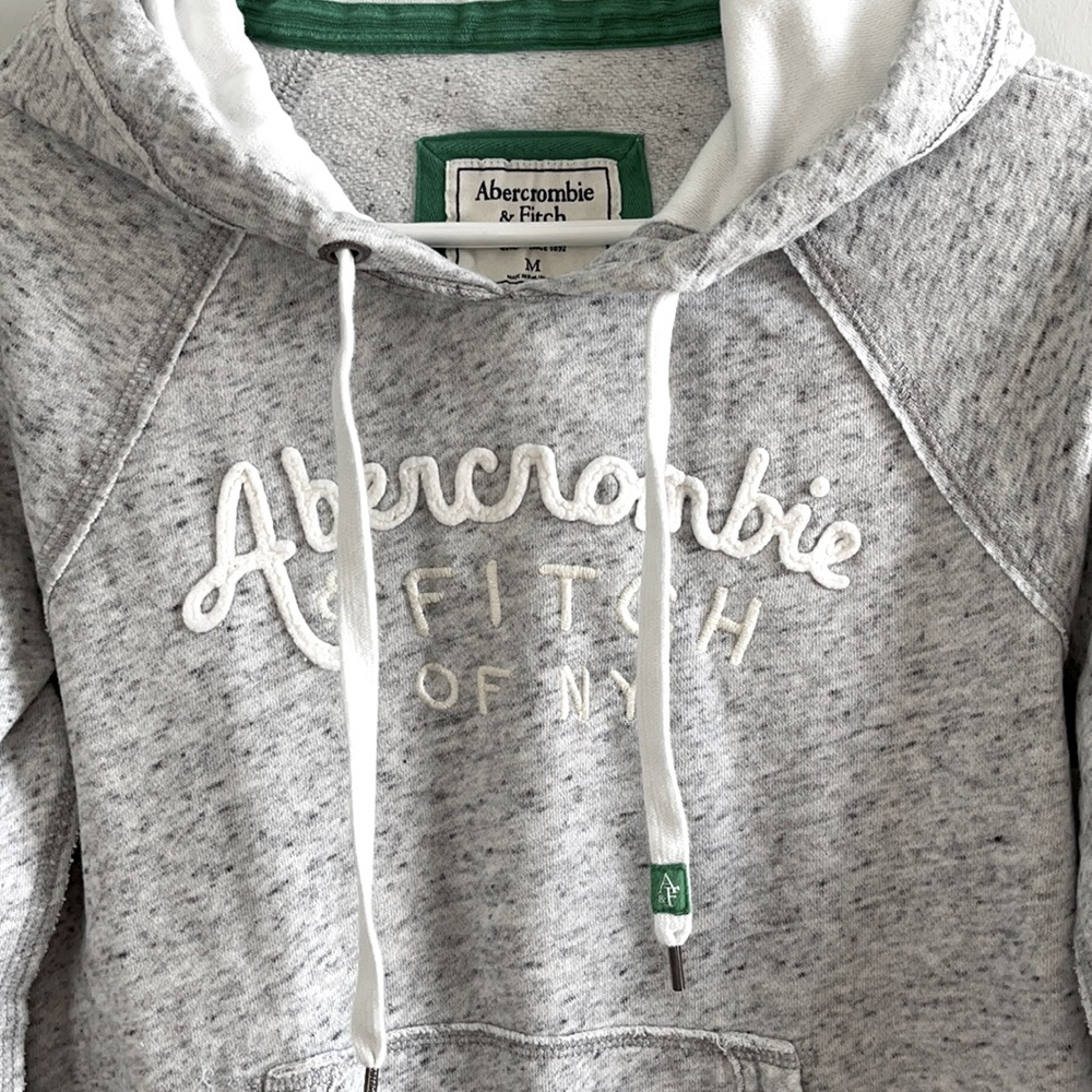 Abercrombie and Fitch Pullover Hoodie